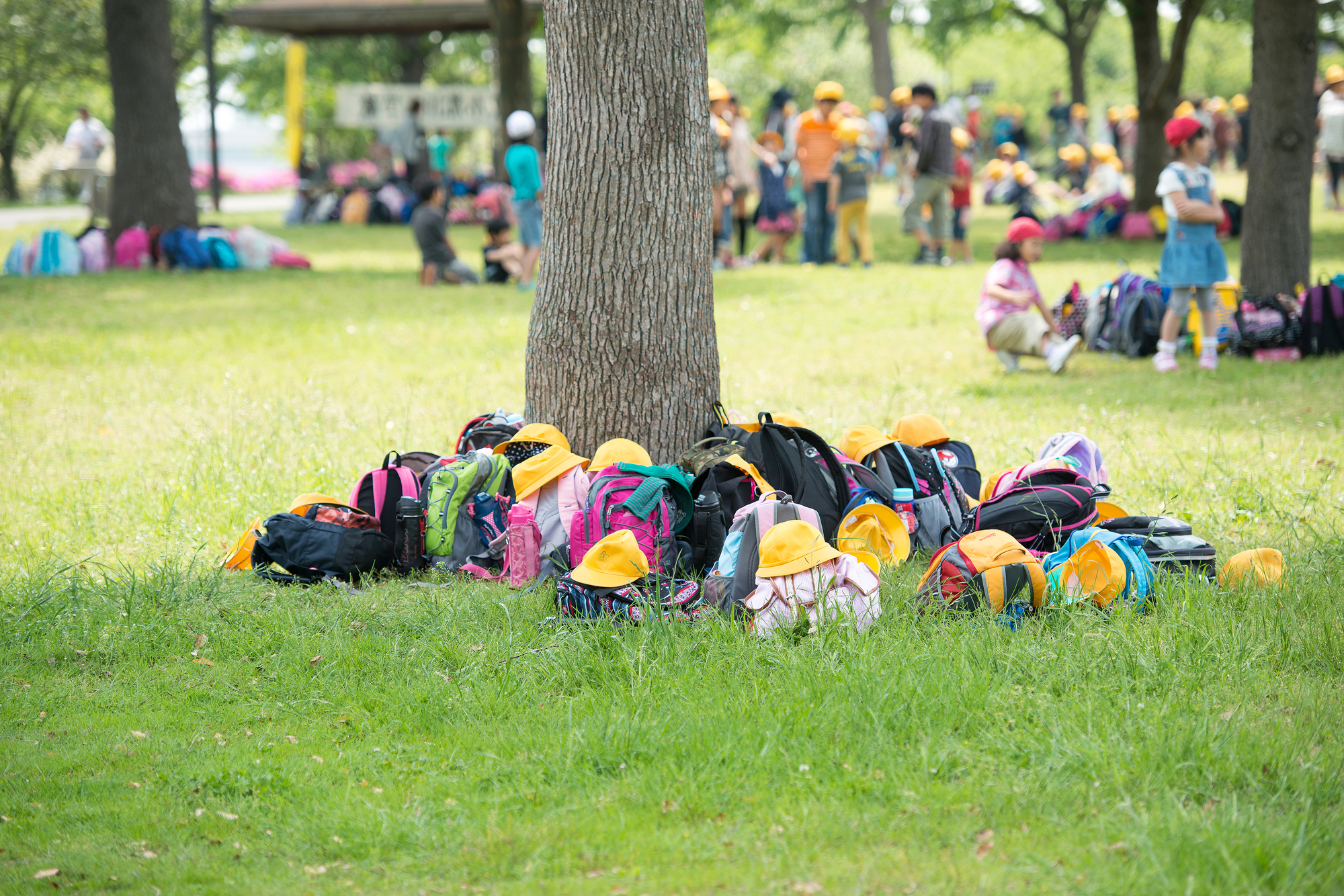 遠足のバスレンタル完全ガイド｜料金相場・手配の流れ・当日運行の注意点